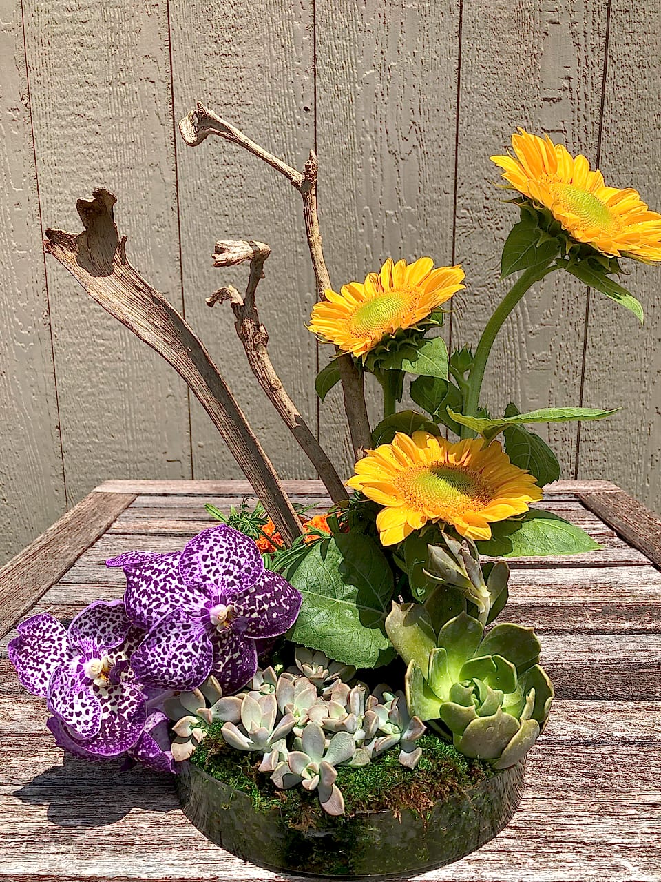 Sunflowers and purple vanda orchids arranged on driftwood by Willow Creek Florist
