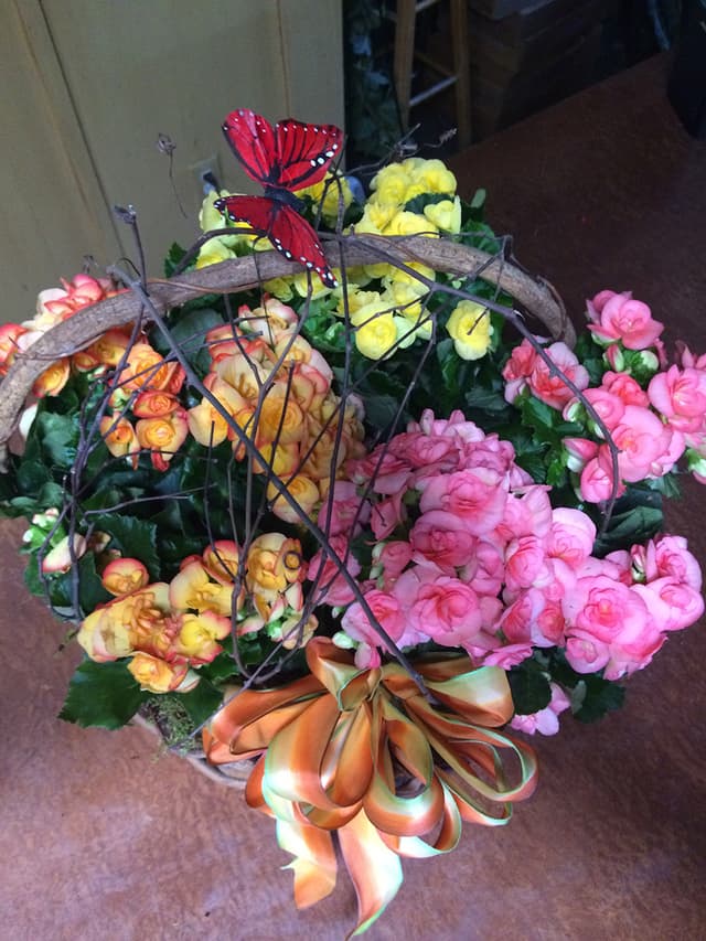 Basket of fresh flowering plants with pink blooms and a butterfly accent