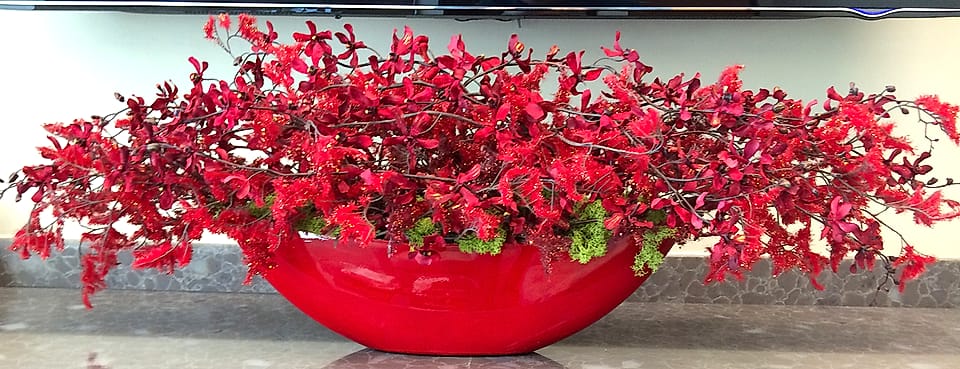 Modern red bowl centerpiece of ilex berries and moss